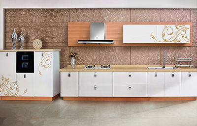 德圣龍金屬烤漆柜櫥效果圖 德圣龍金屬烤漆柜櫥效果圖