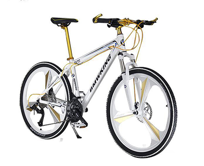 德圣龍水性金屬烤漆自行車應(yīng)用效果圖 德圣龍水性金屬烤漆自行車應(yīng)用效果圖